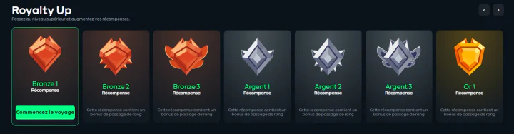 Programme VIP Club et avantages exclusifs Gamdom Casino